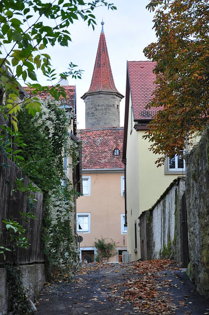 DSC 8528