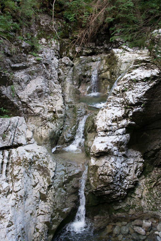 DSC 8564