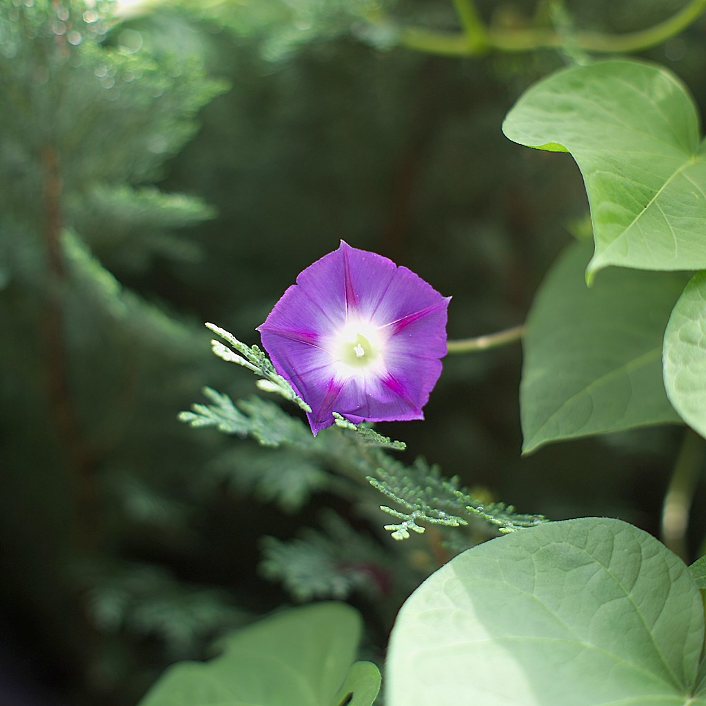 DSC 8569