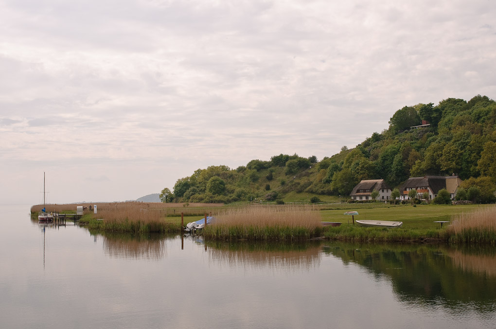 DSC 8600