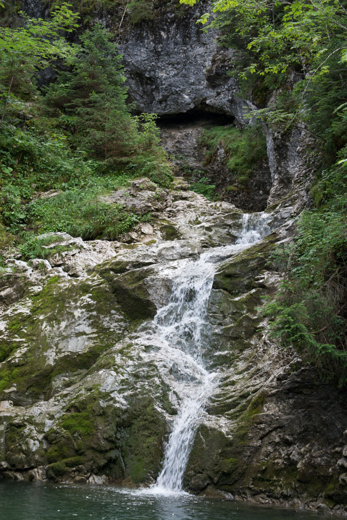 DSC 8604