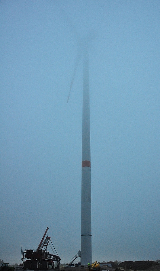 DSC 8604