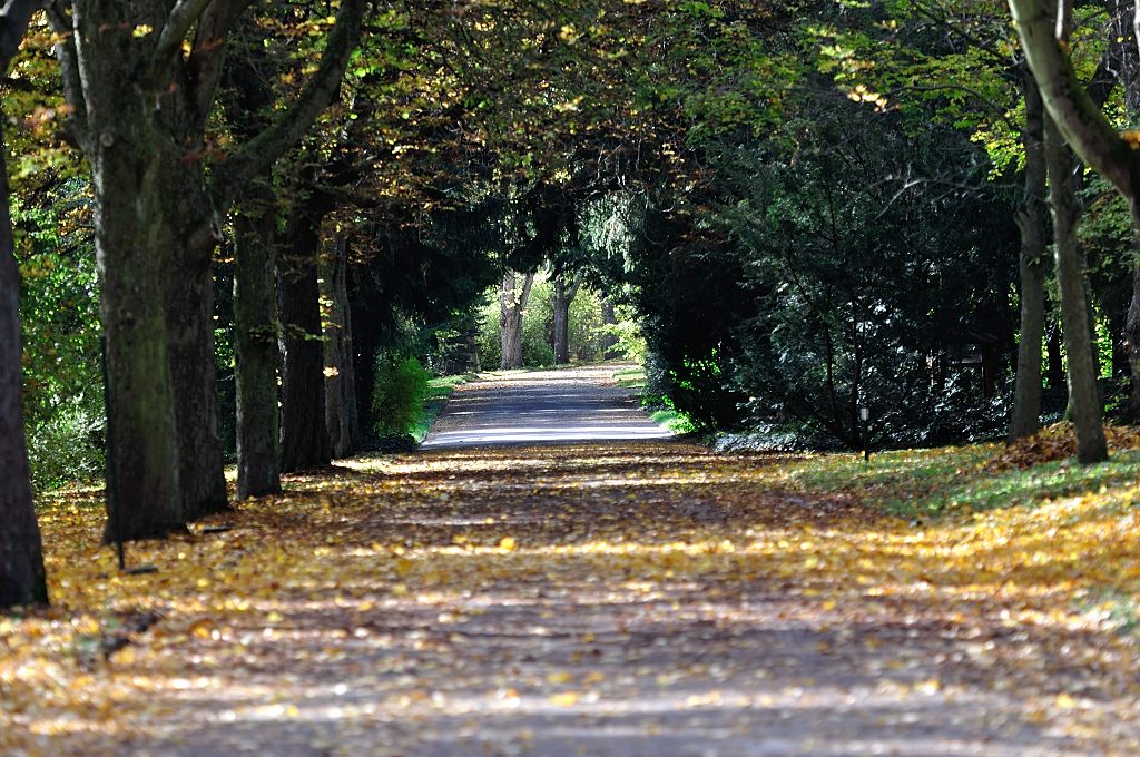 DSC 8632 Allee