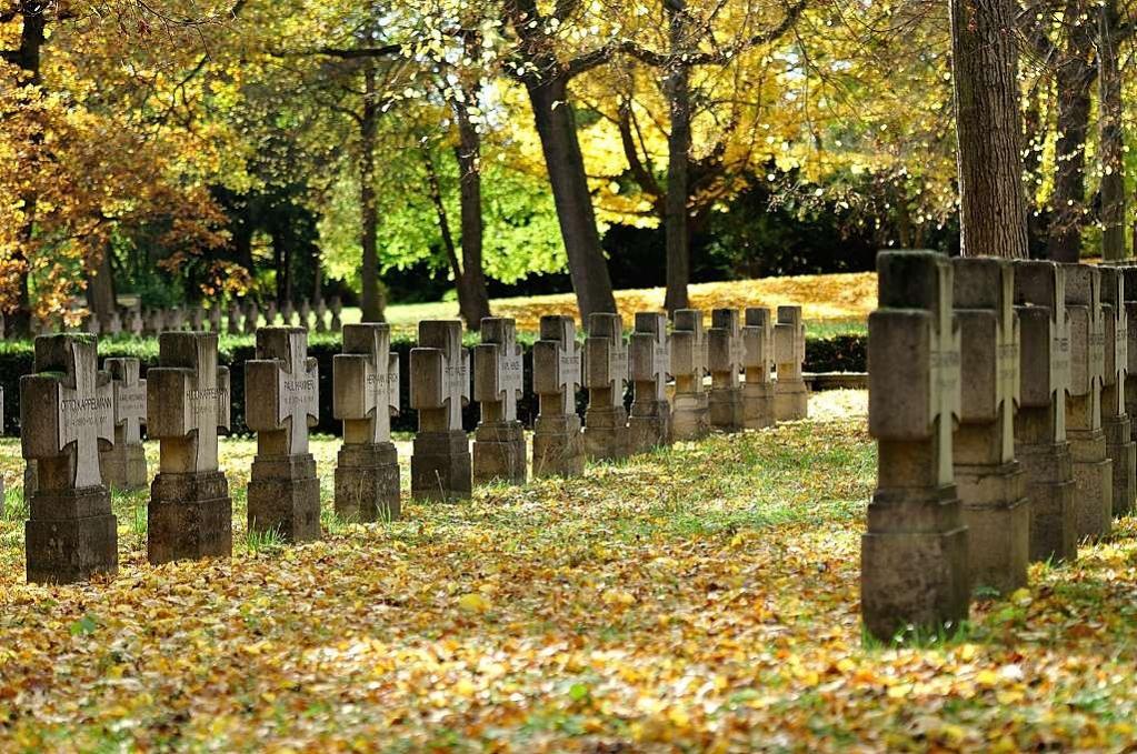 DSC 8652 Herbst