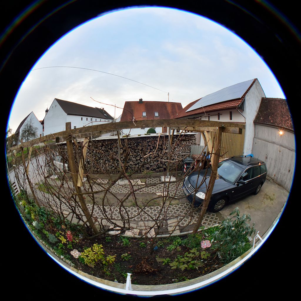 DSC 8653