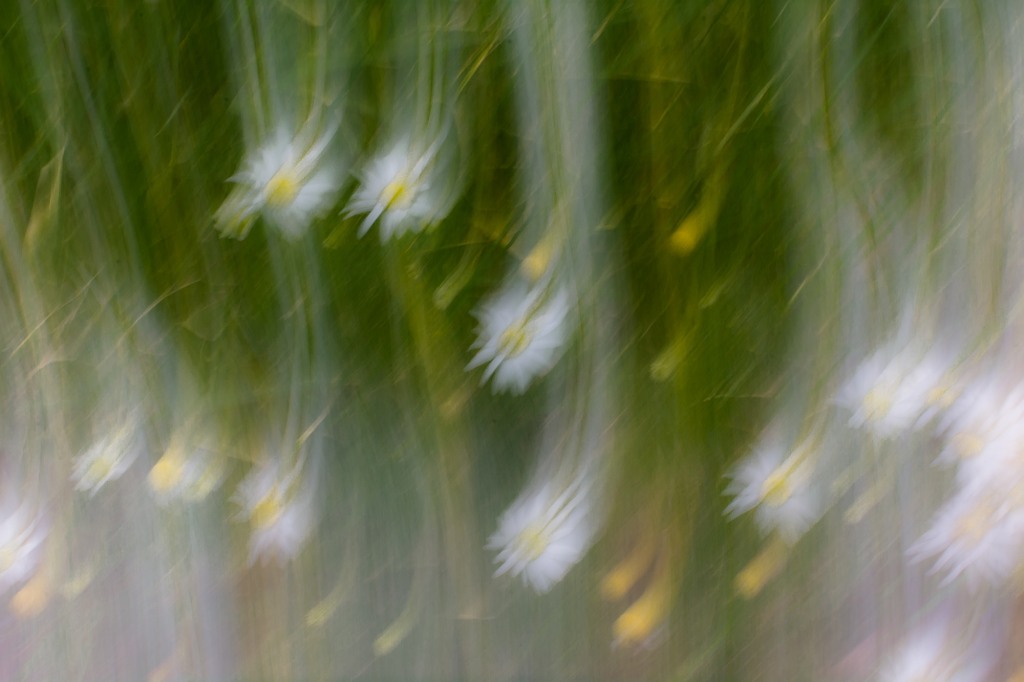 DSC 8674 01