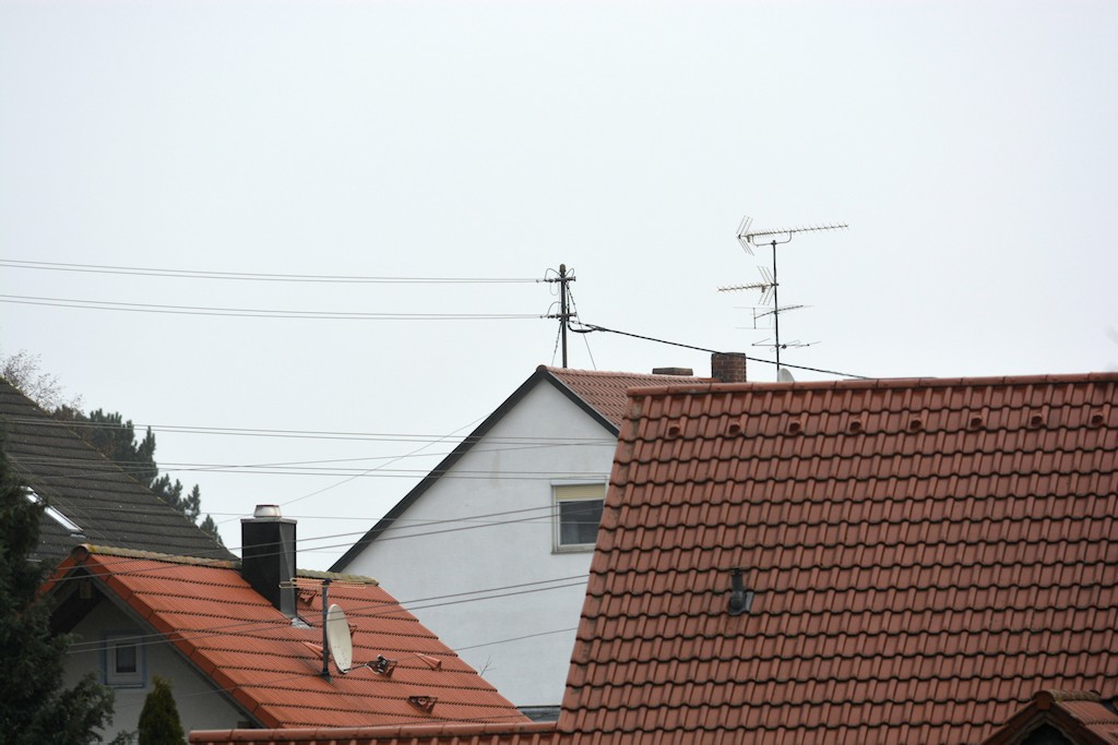 DSC 8713