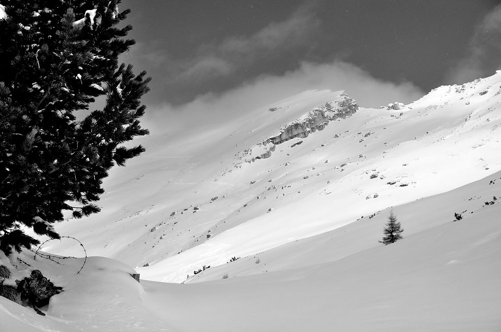 DSC 8746 sw