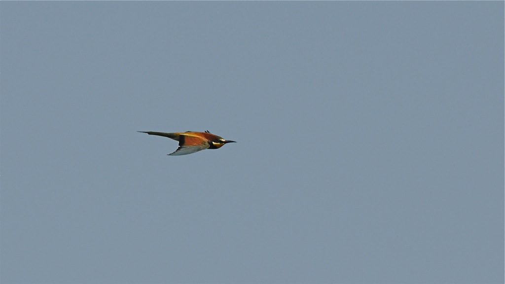 DSC 8780