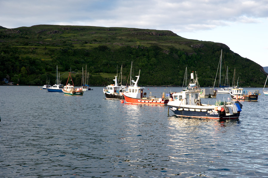 DSC 8789