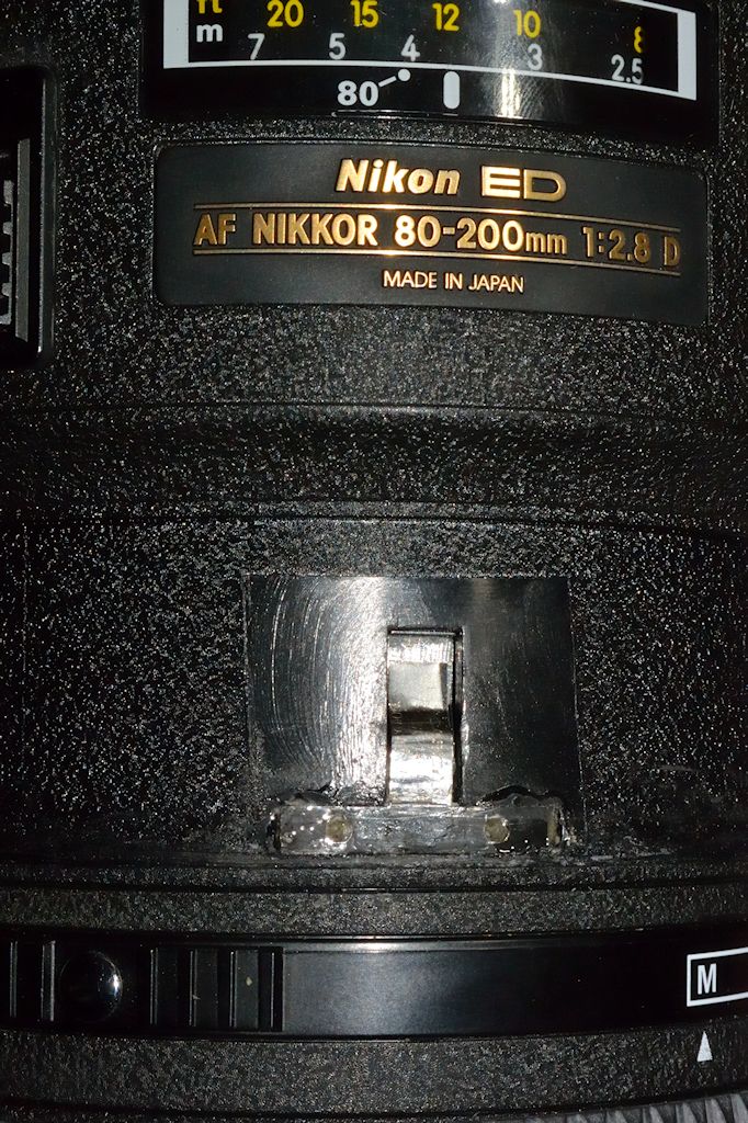 DSC 8887