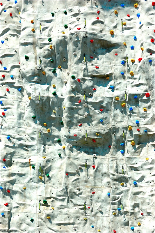 DSC 8958