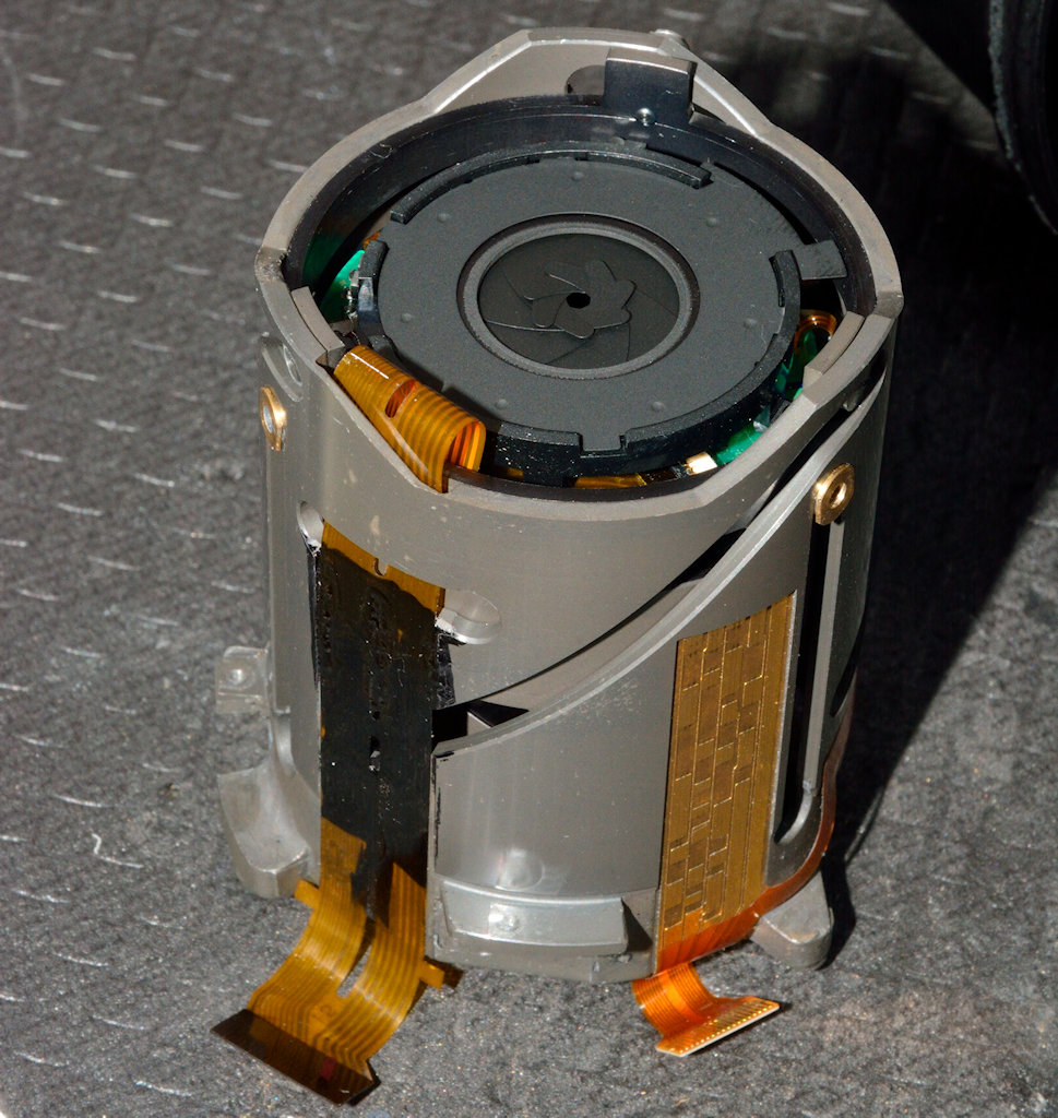 DSC 8973