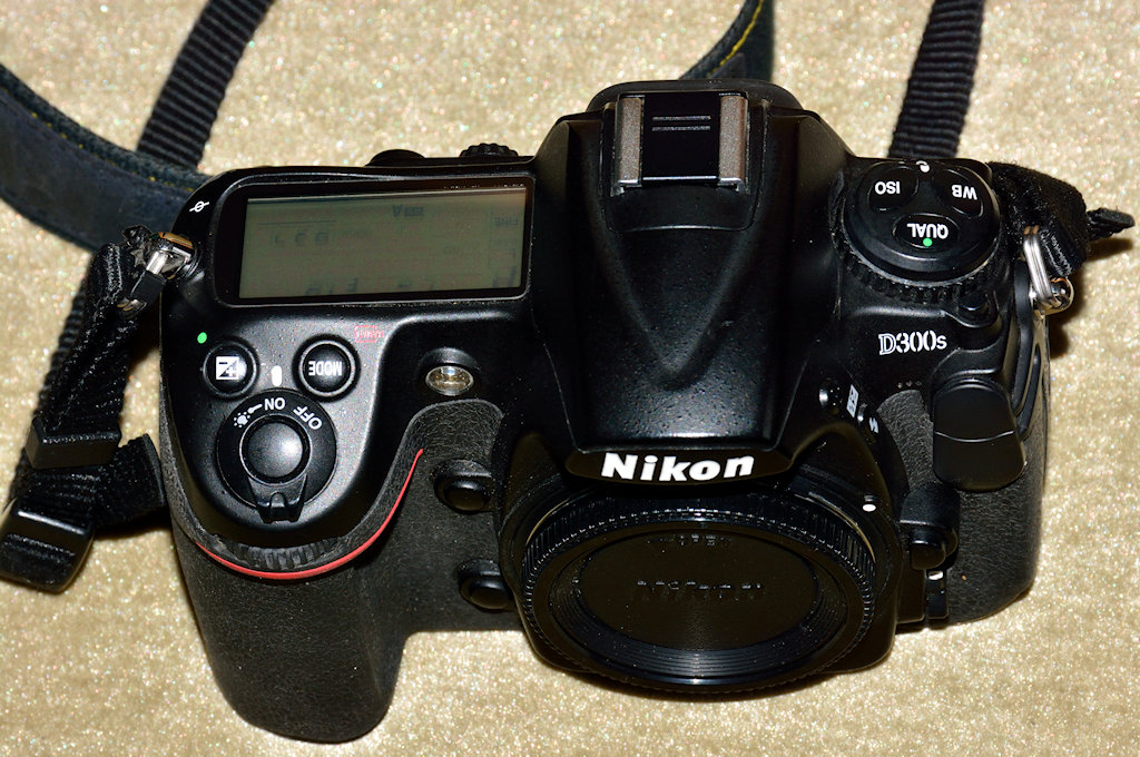 DSC 9053
