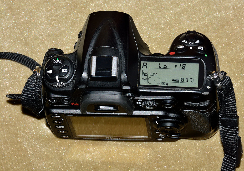 DSC 9054