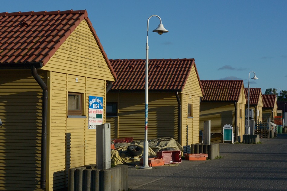 DSC 9103