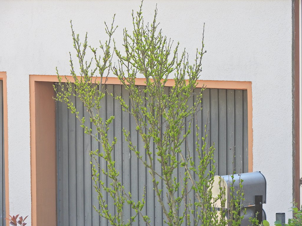 DSC 9104