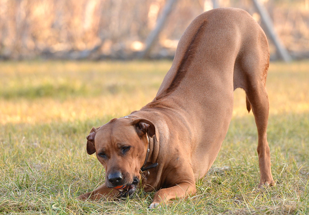 DSC 9145 21 2 14