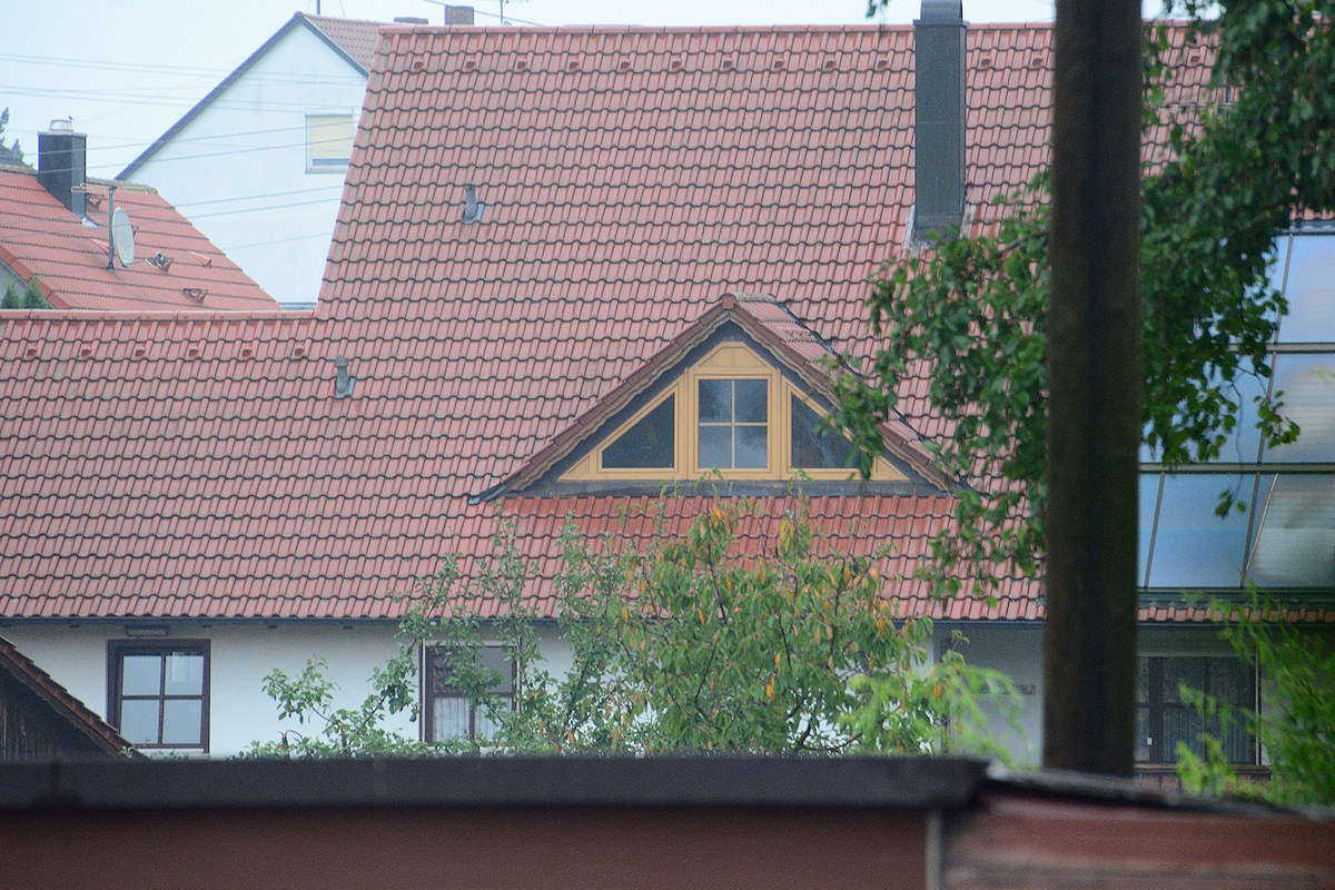 DSC 9164