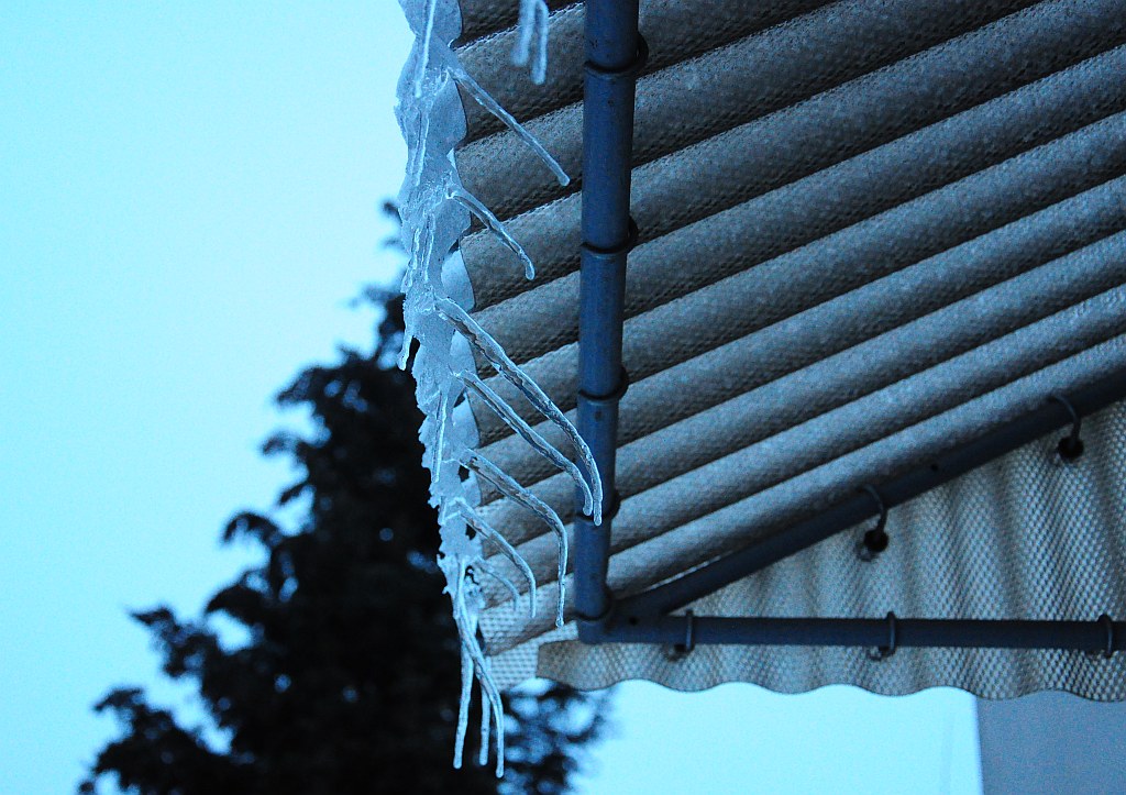 DSC 9274