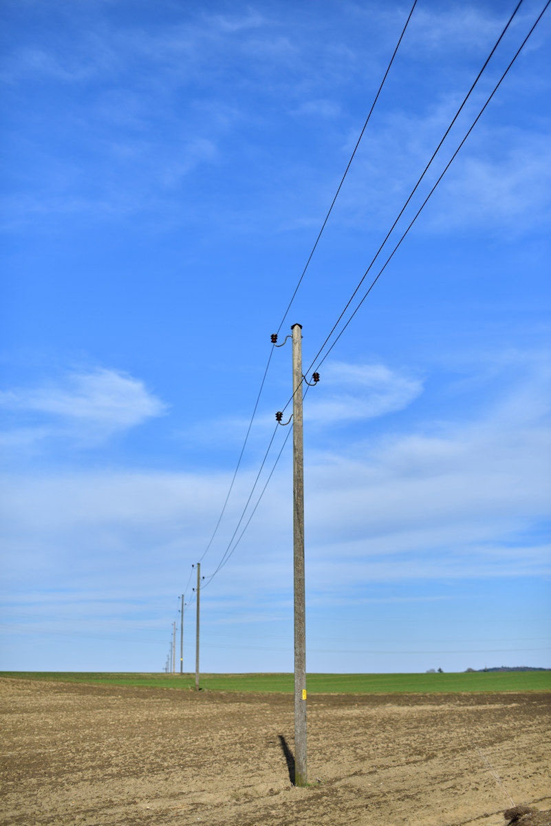 DSC 9305