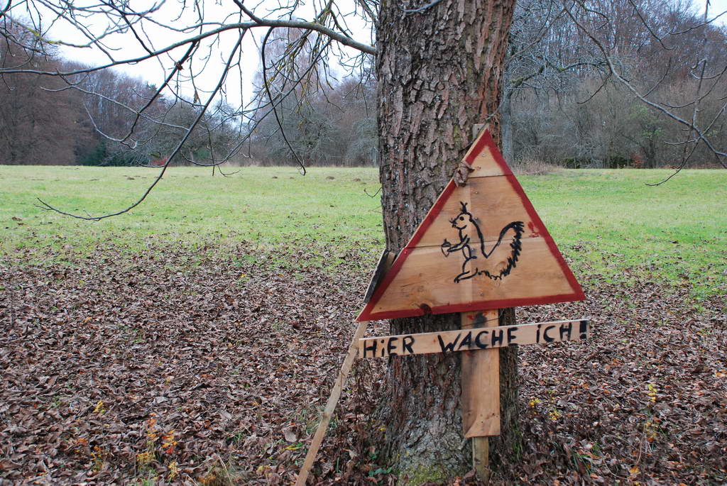 DSC 9311 Größe ändern