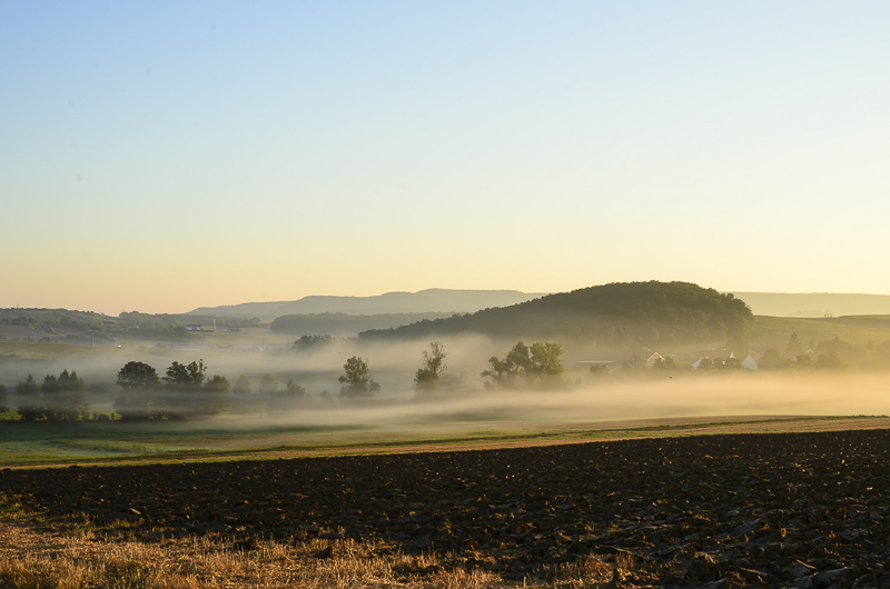 DSC 9407
Morgennebel