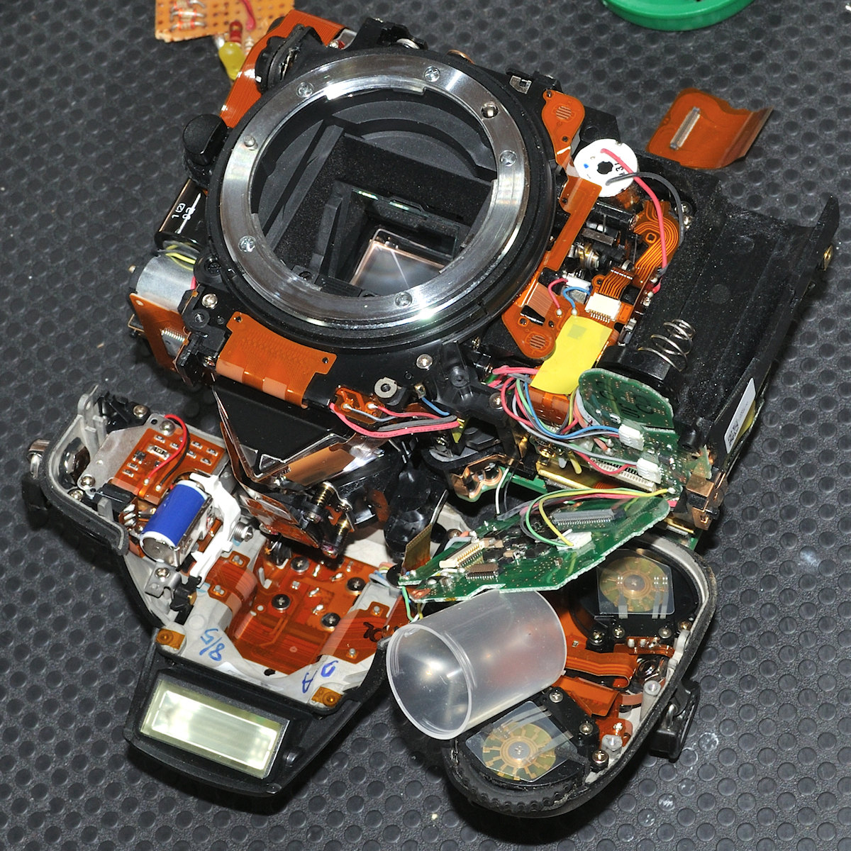 DSC 9749