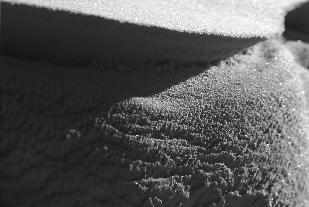 DSC 9880 crop SW dist 1