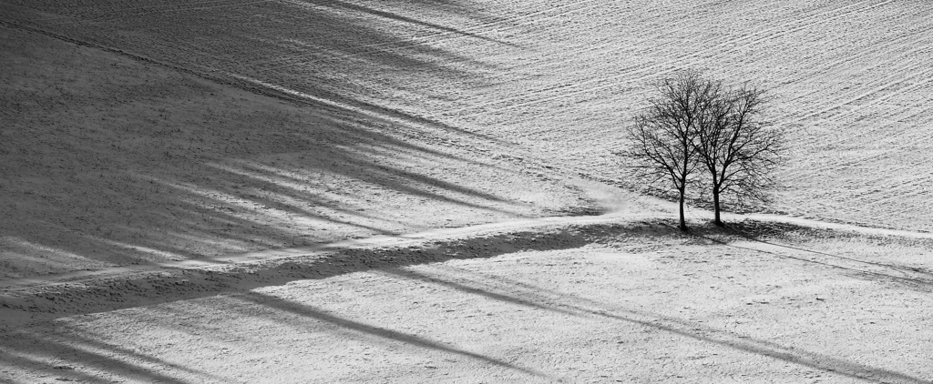 DSC 9930 crop sw