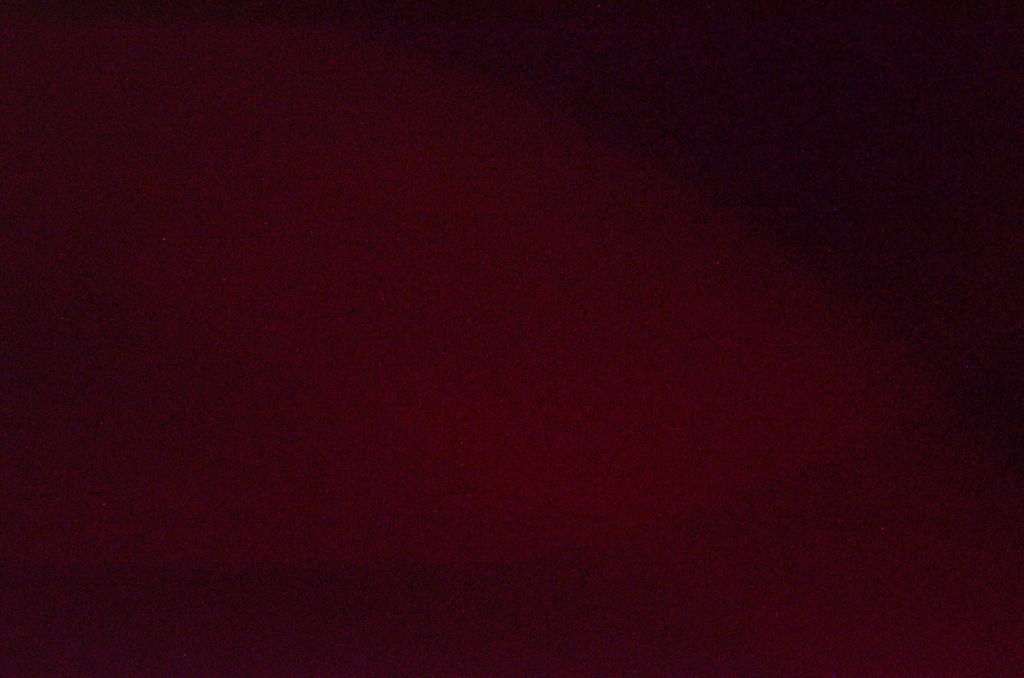DSC 9980