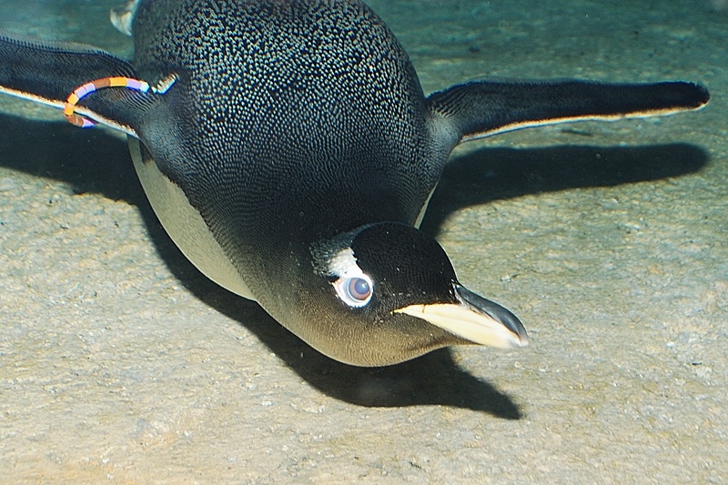 DSC 9982