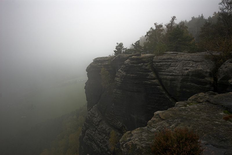 DSC D223970