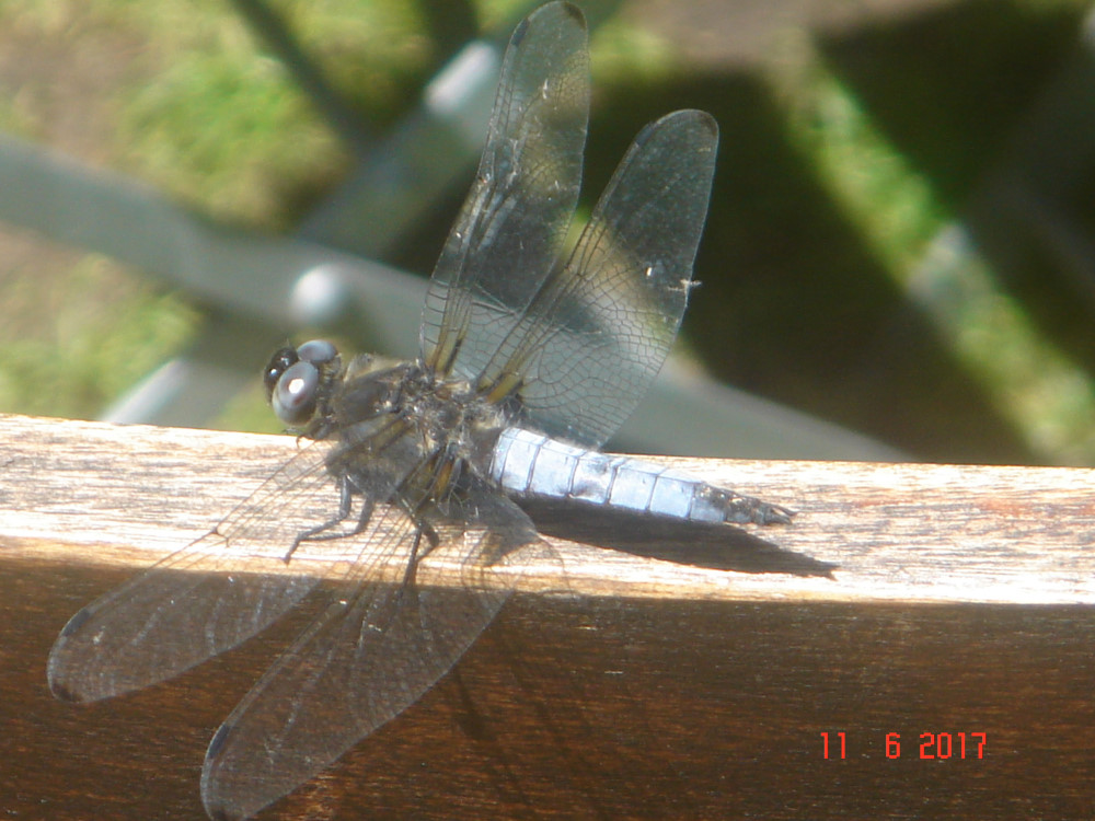 DSC00008