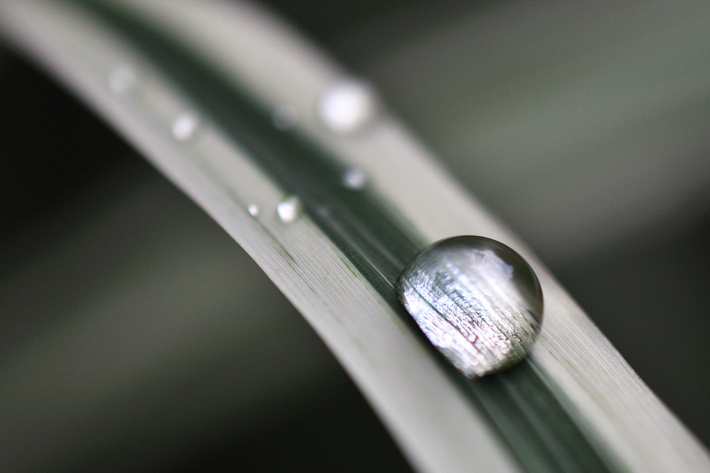 DSC0001 00370 crop