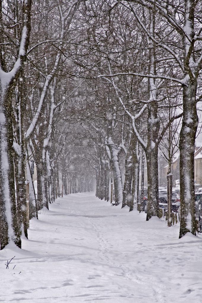 DSC0006157   
Hamburg Ebertallee. 
Das Schneetreiben ging bis zum Dunkel werden weiter. 
D 70s + AF Nikkor 28-105 mm 3.5-4.5 D   
105mm   f13   1/320 