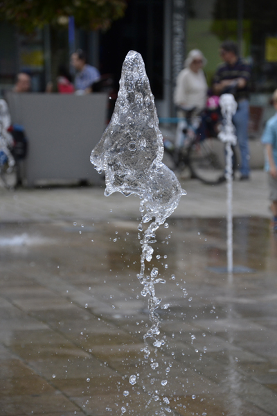 DSC0065