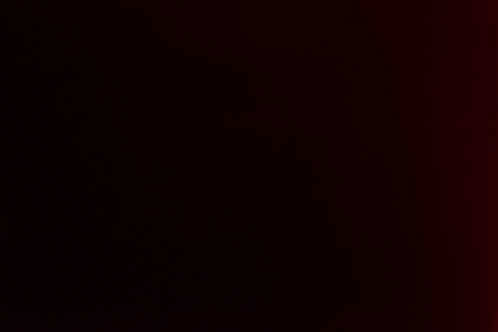 DSC0065