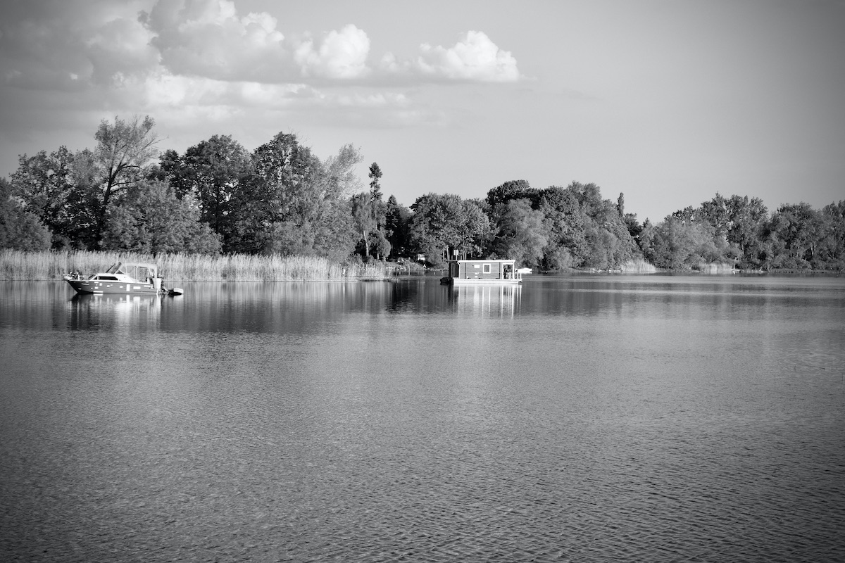 DSC00733.jpeg