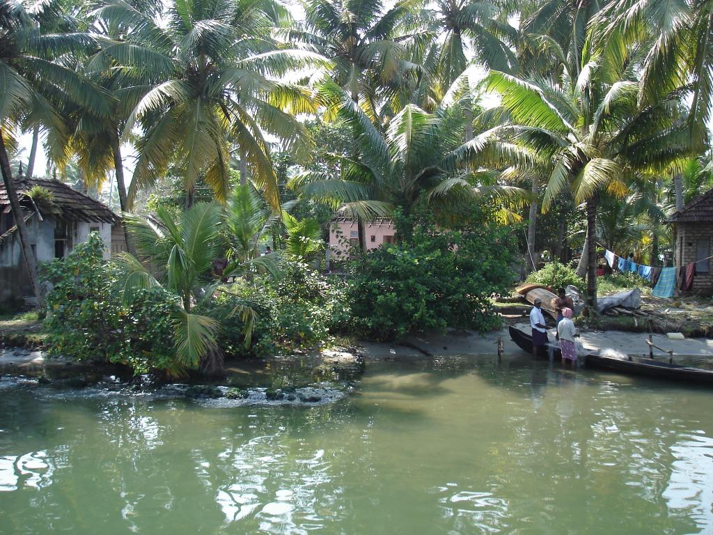 DSC00790