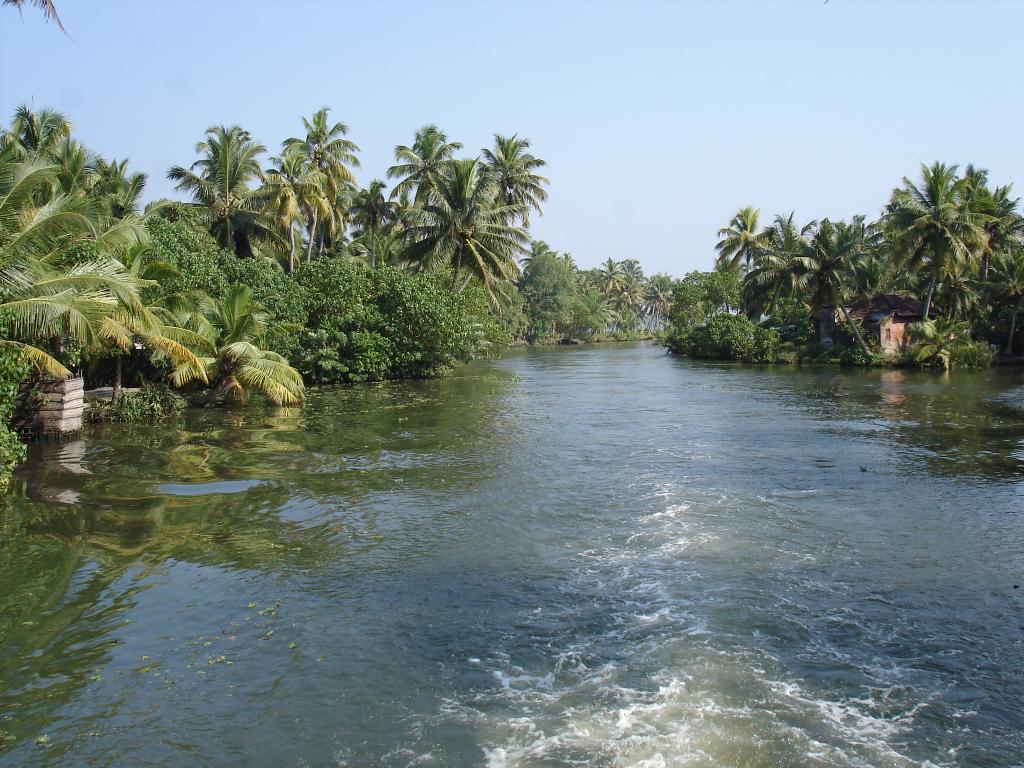 DSC00794
