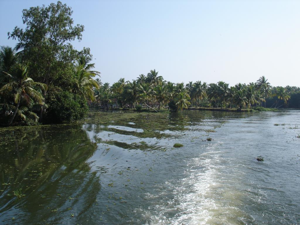 DSC00797