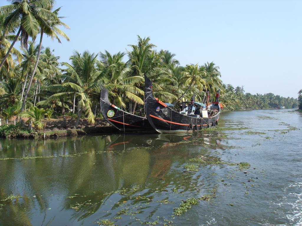 DSC00799