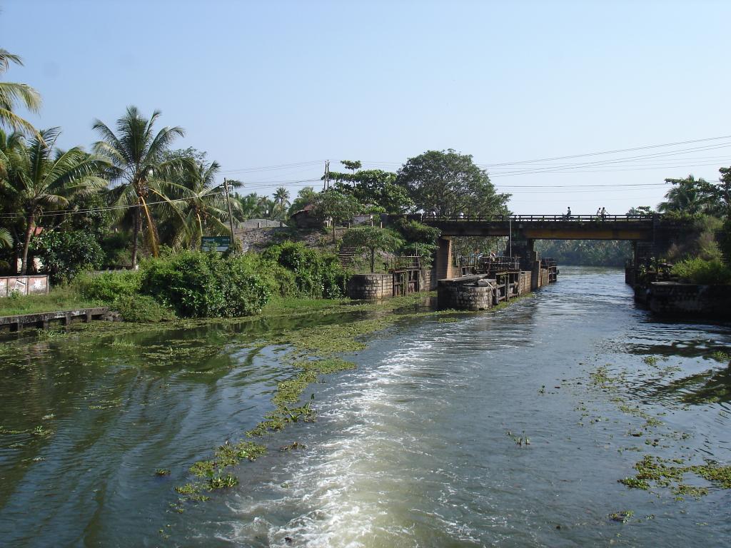 DSC00800