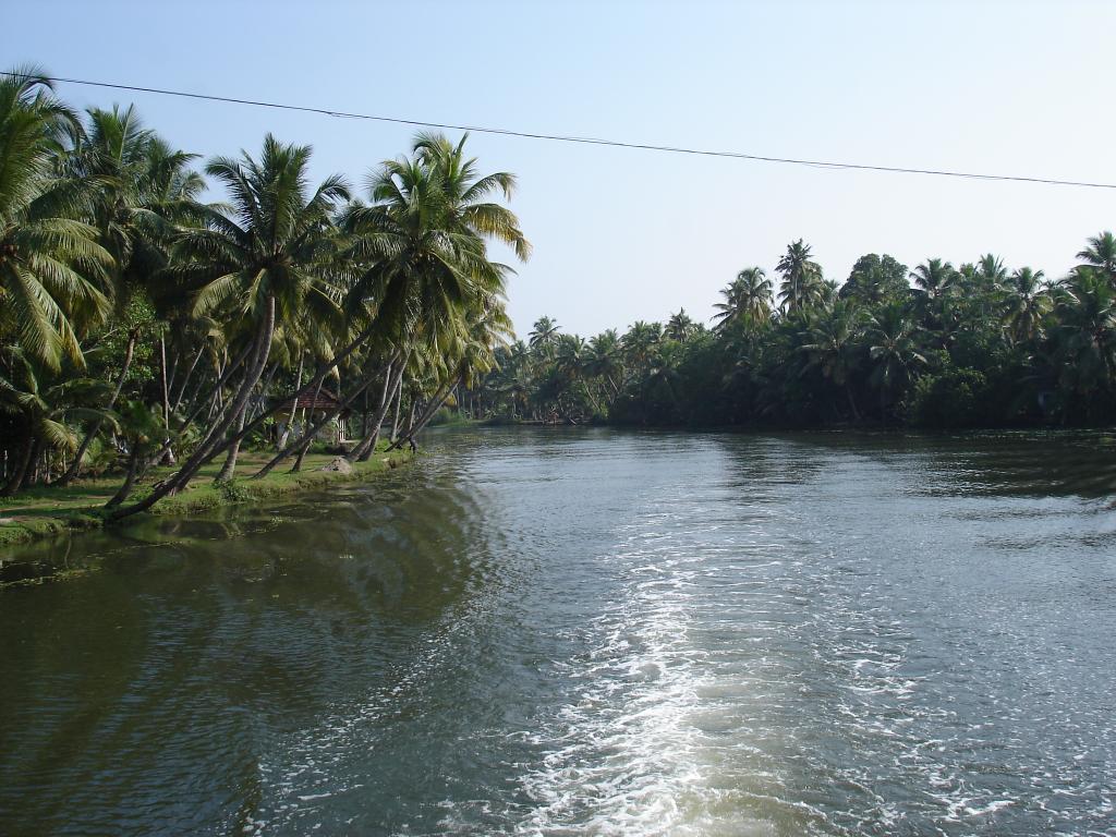 DSC00802