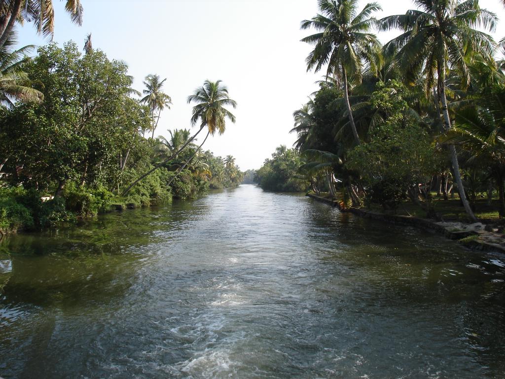 DSC00805