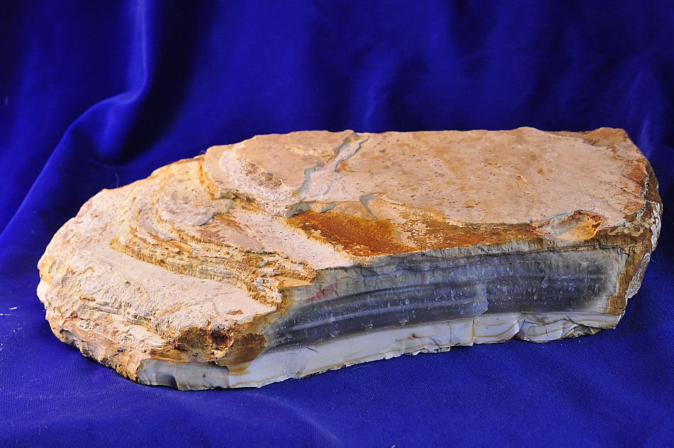 DSC0143