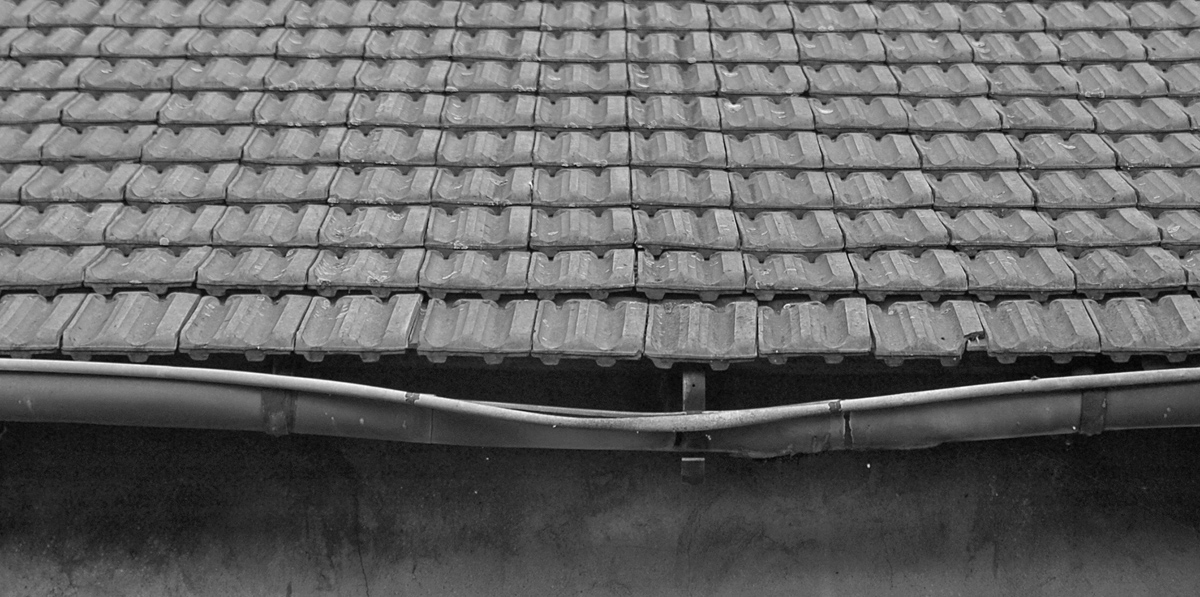 DSC0168PASWxl