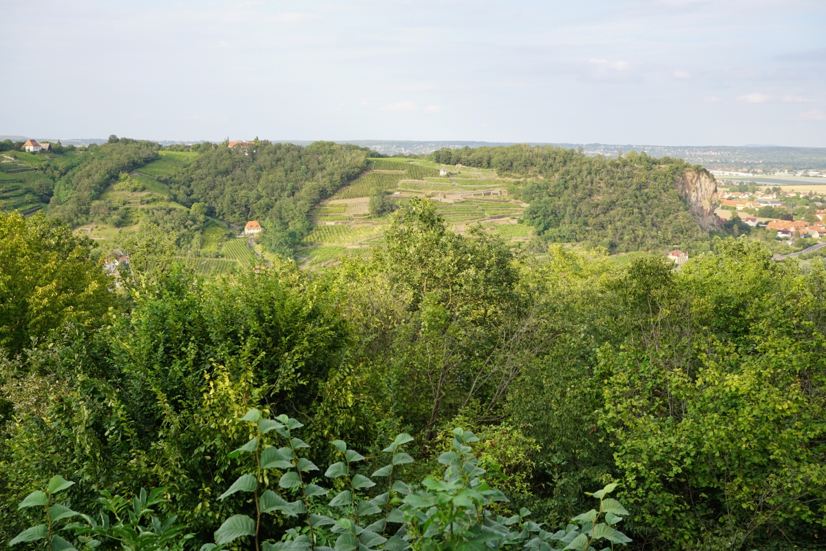 DSC01972n.jpg
