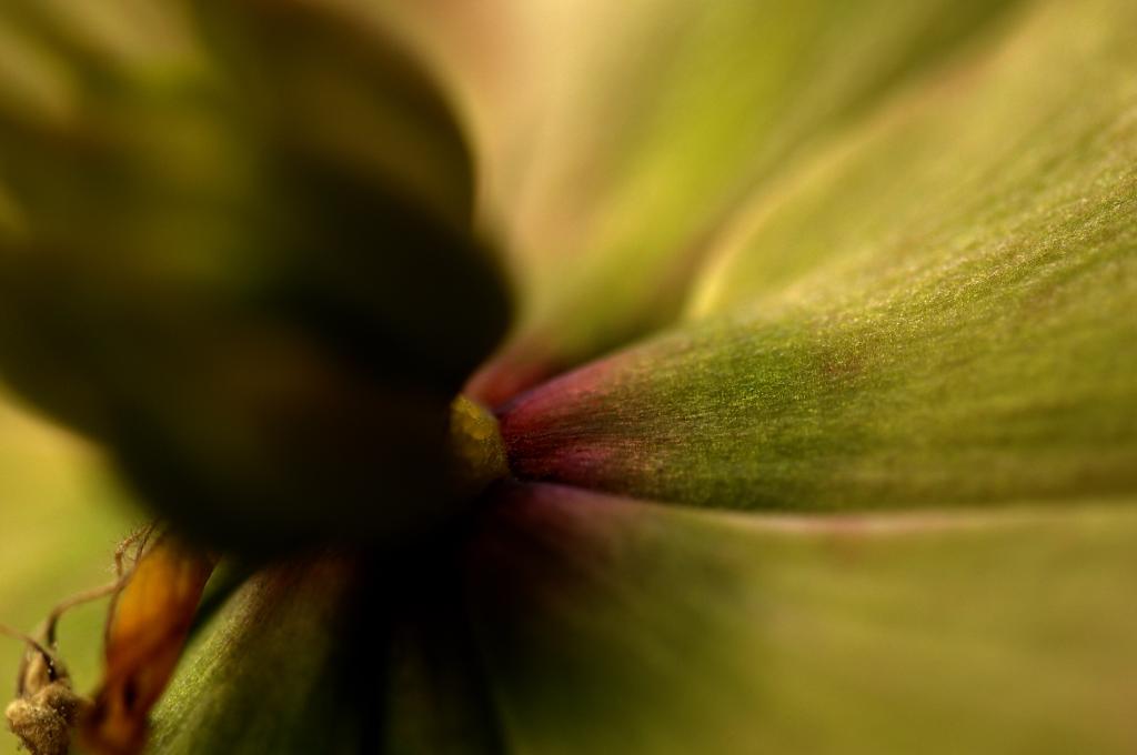 DSC0197a